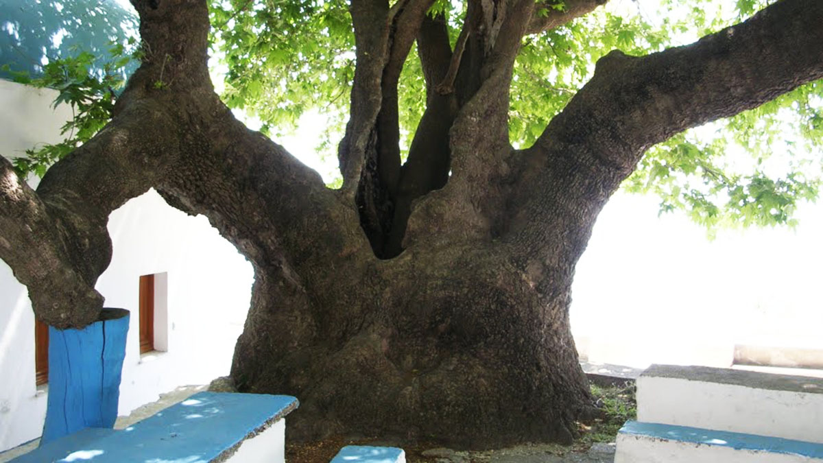 Монастырь Айос Иоаннис. Кос