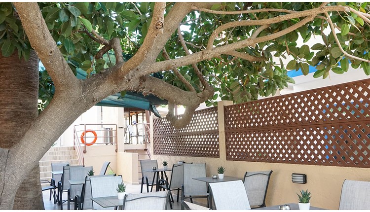 Dioni Hotel - NR, Крит