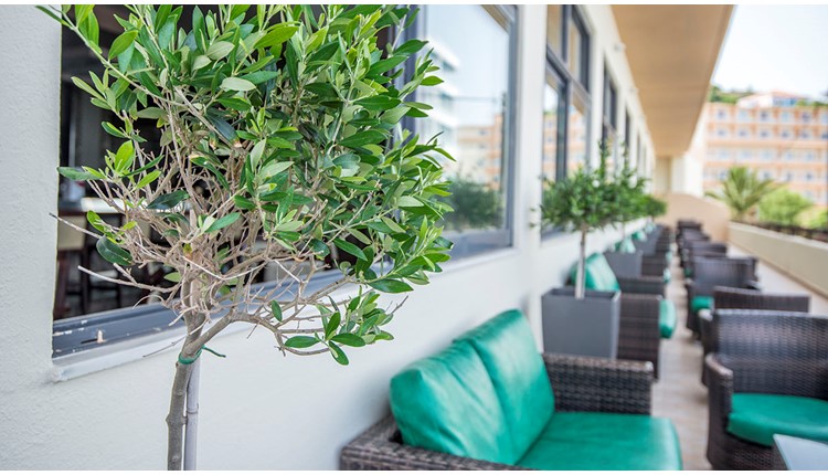 Rhodos Horizon Blu (ex Kipriotis Hotel), Родос