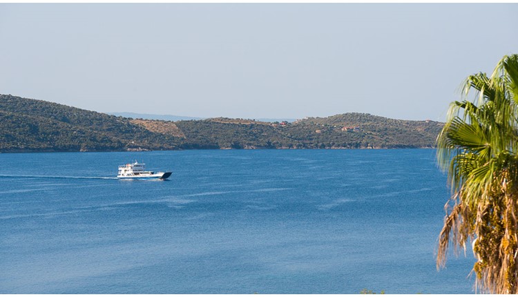 Alexandros Palace Hotel, Халкидики