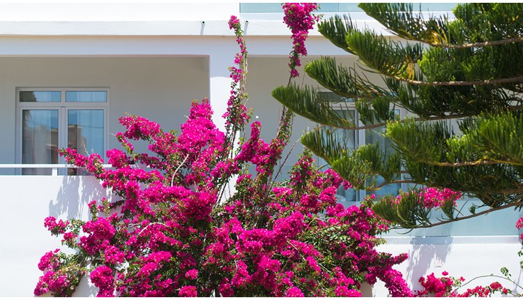 Mr & Mrs White Crete Lounge Resort and Spa - NR, Крит