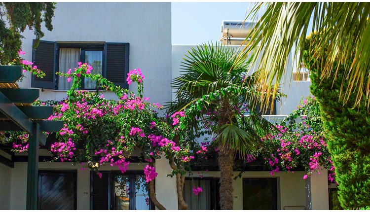 Anna Maria Village , Крит