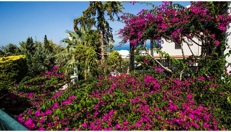 Anna Maria Village , Крит