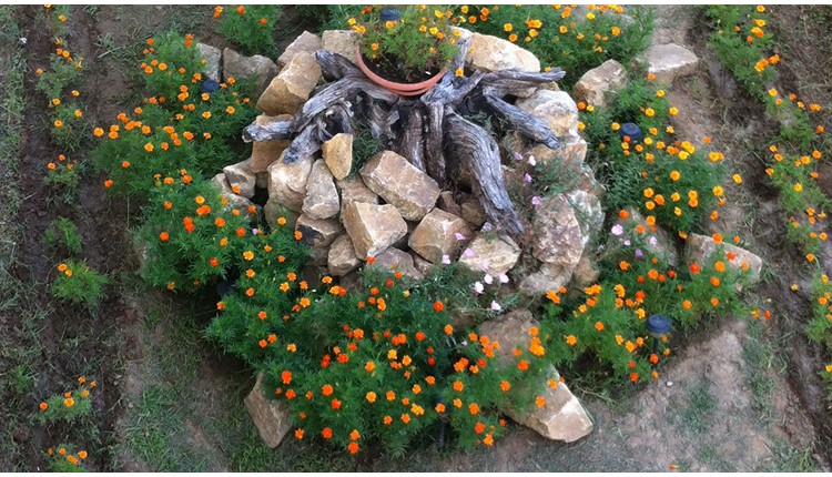 Loxandra Studios - NR, Халкидики