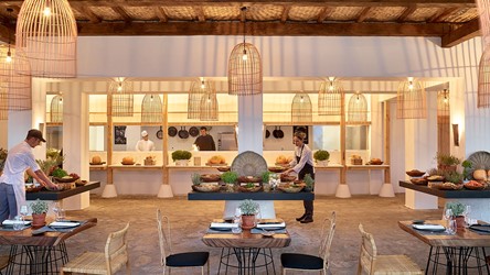 4036_16-Mediterranean-Trattoria.jpg