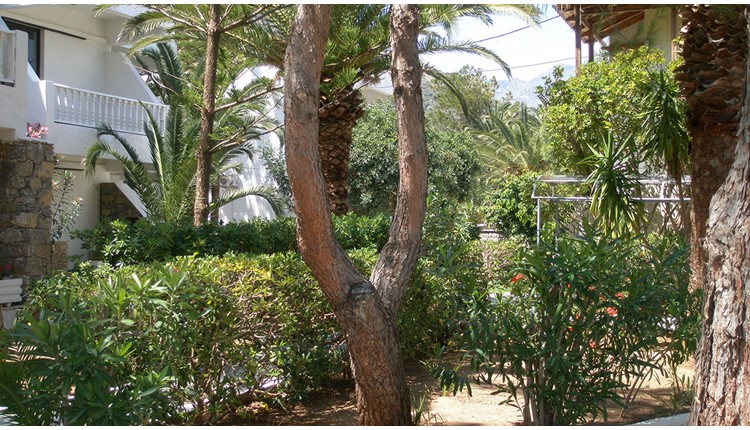 Avra Palm - NR, Крит