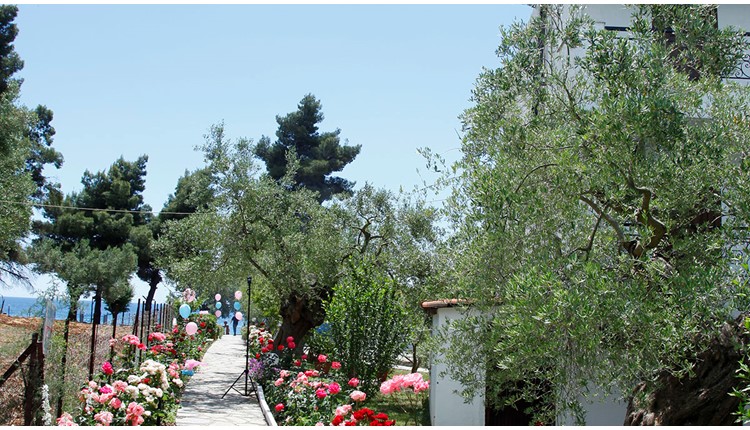 Porto Matina Hotel, Халкидики