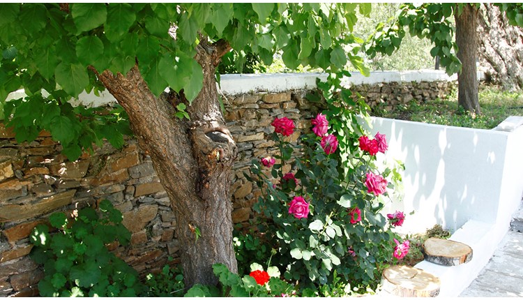 Porto Matina Hotel, Халкидики