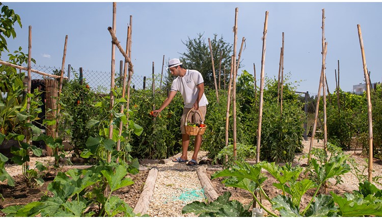 Ammouda Villas - NR, Халкидики