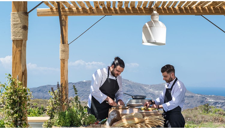 Andronis Concept Wellness Resort - NR , Санторини