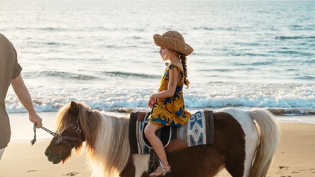 6108_13-horse-riding-along-a-sandy-beach-for-all-ages.jpg