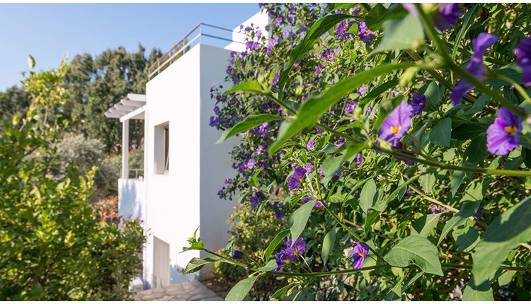 Mourtzanakis Residence by CHC Hotels - NR, Крит