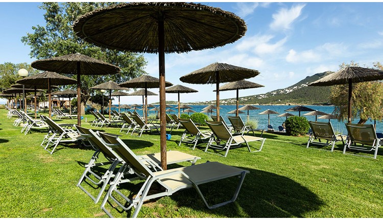 Zeus Dolce Athens, Афины