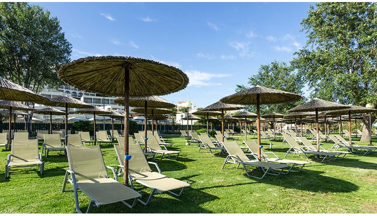 Zeus Dolce Athens, Афины