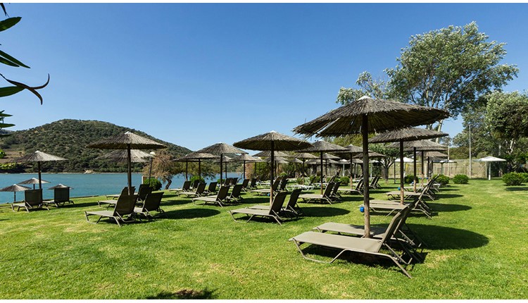 Zeus Dolce Athens, Афины