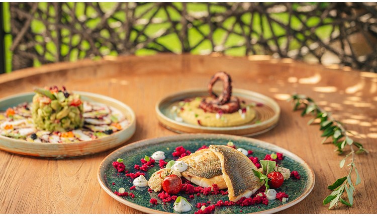 Blue Carpet Luxury Suites - NR, Халкидики