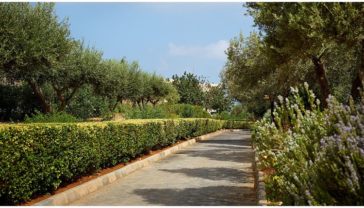 Village Heights  Resort - NR, Крит