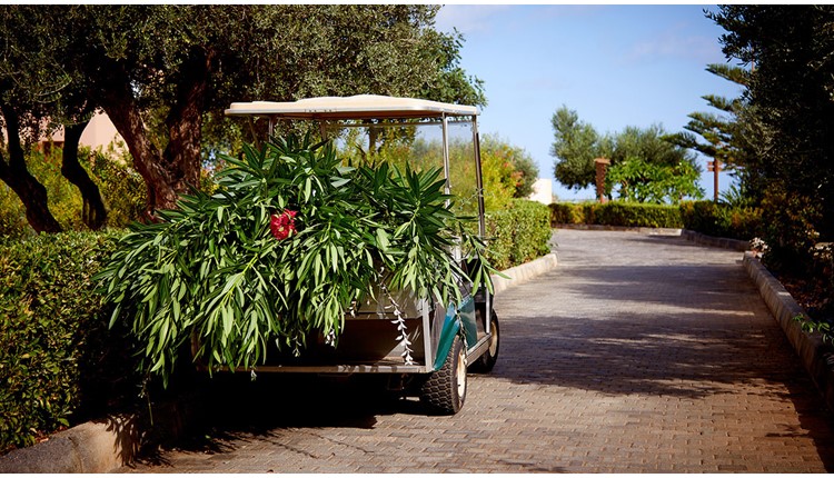 Village Heights  Resort - NR, Крит