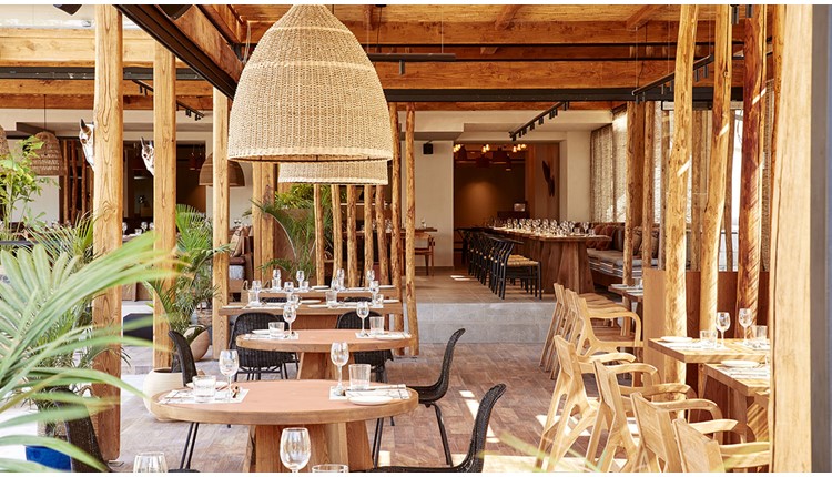 The Syntopia by Orion , Крит