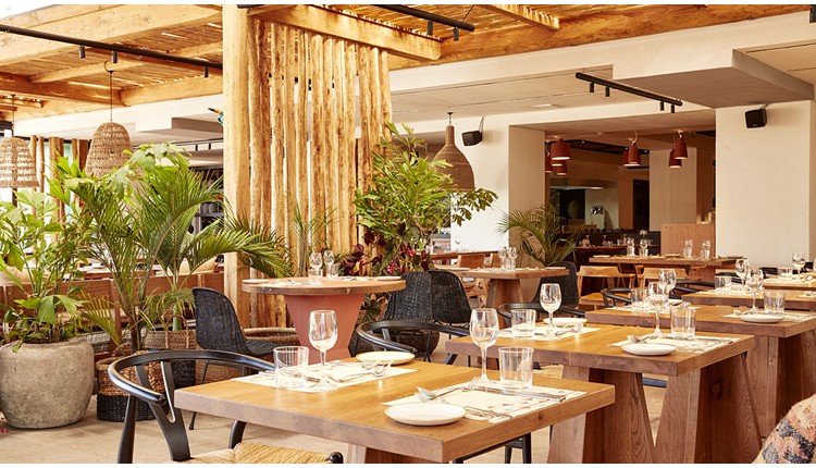 The Syntopia by Orion , Крит