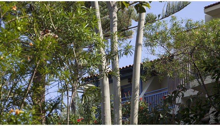 Elpida Village, Крит