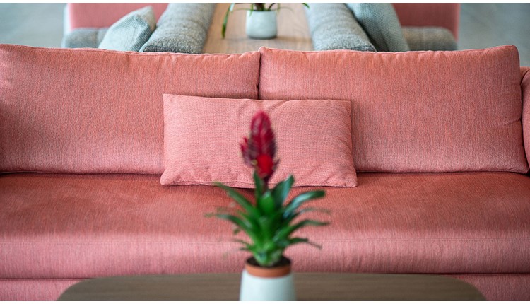 Euphoria Resort, Крит