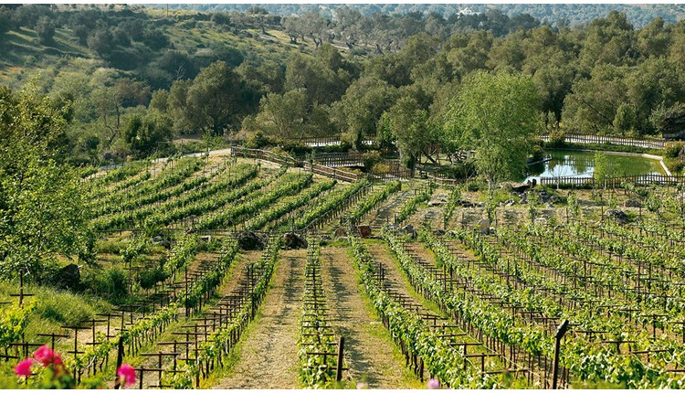 Grecotel Casa Adele (ex Grand Leoniki), Крит