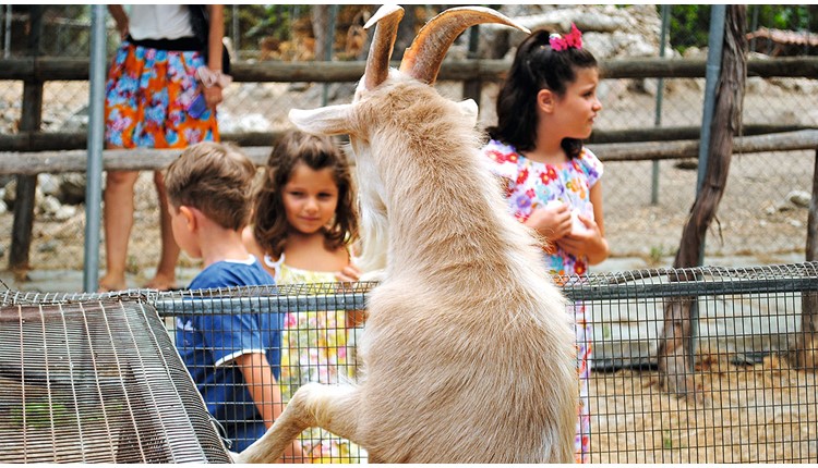 Grecotel Casa Adele (ex Grand Leoniki), Крит