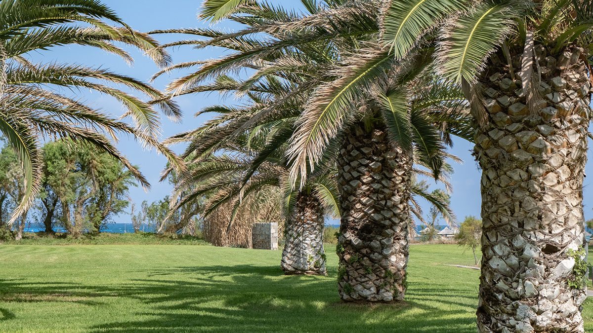 Bungalow Side Sea View 